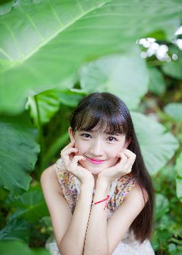 大地资源网视频在线观看新浪